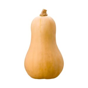 Butternut