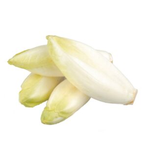 Endive chicon
