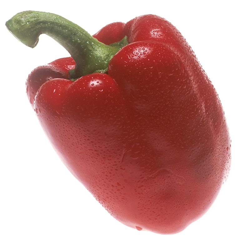 Poivron Lamuyo F1